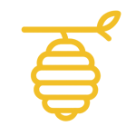 Beehive Removal