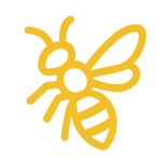 Stinging Insects