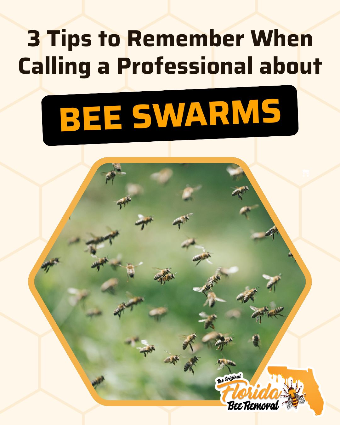 3 Tips to Remember When Calling a Professional about Bee Swarms
